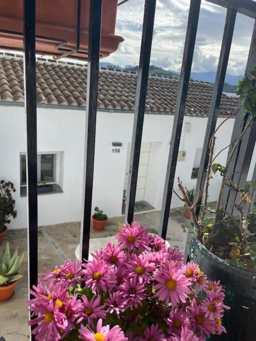 Casa La Fuente Alta Villa Algodonales Exteriör bild